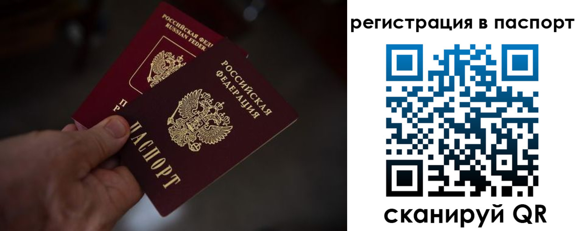 пропишу в квартире в Ростовской области